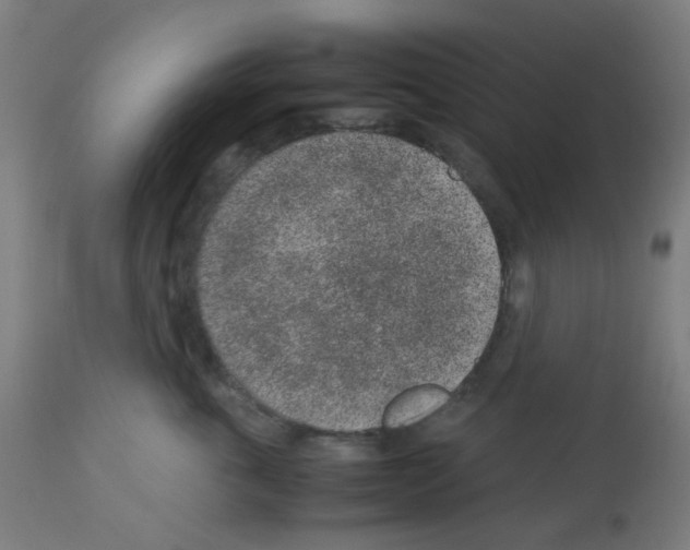 X0000113010763200910081222