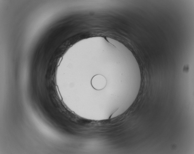 X0000113010764200910081222