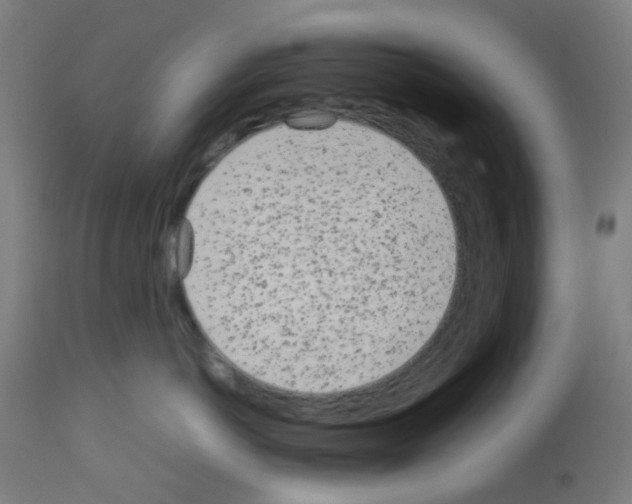 X0000113010766200910081222