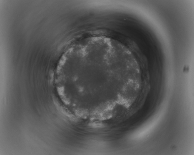 X0000113010767200910081222