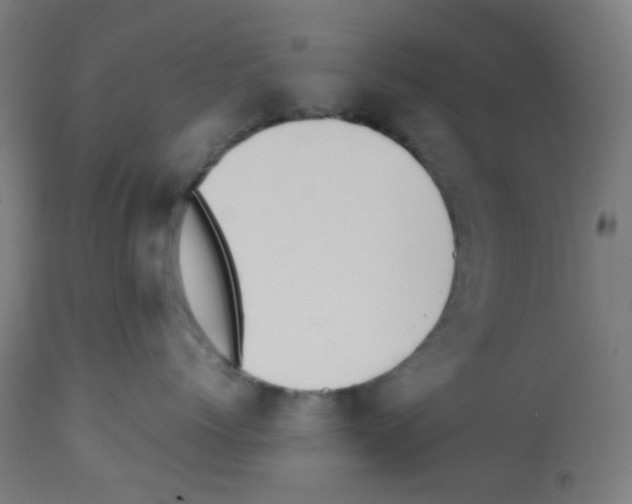 X0000113010768200910081222