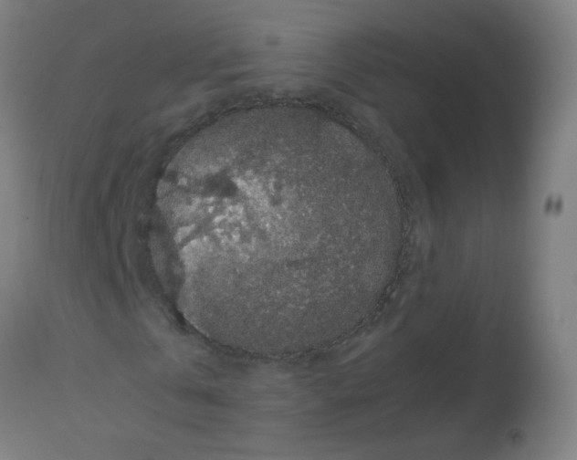X0000113010769200910081222