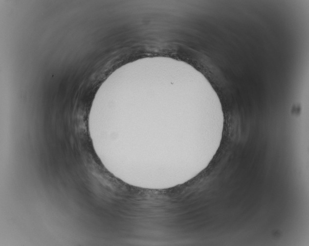 X0000113010770200910081222