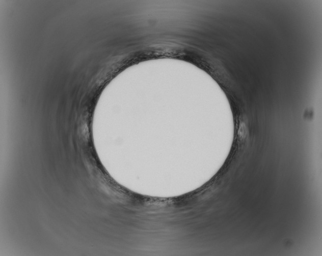 X0000113010771200910081222