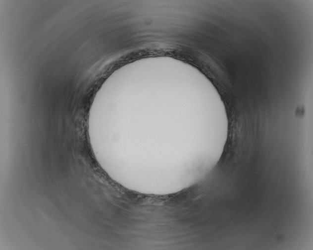 X0000113010773200910081222
