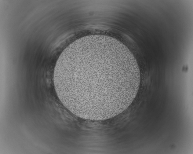 X0000113010774200910081222