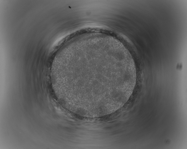 X0000113010775200910081222