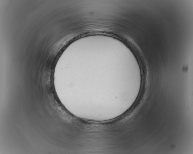 X0000113010777200910081222