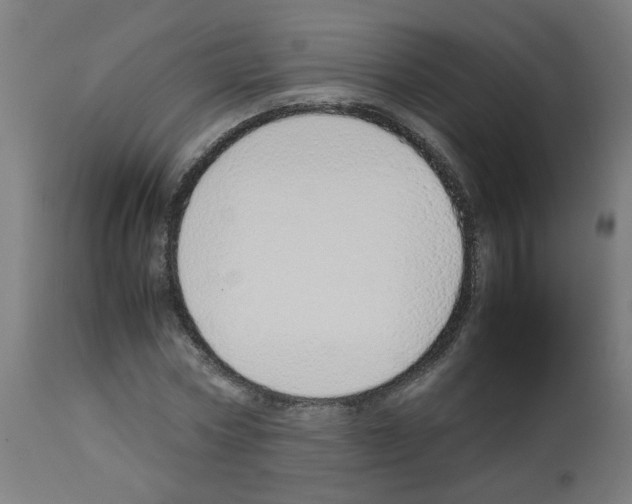 X0000113010778200910081222