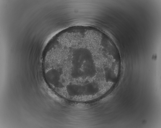 X0000113010779200910081221