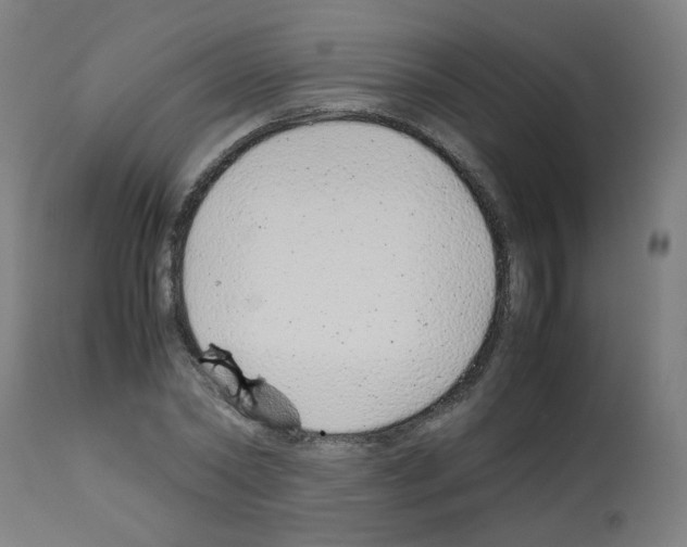 X0000113010782200910081221