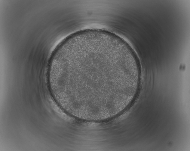 X0000113010783200910081221