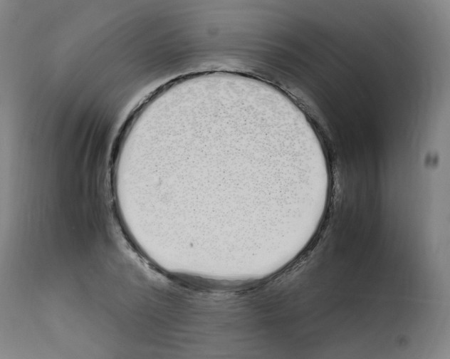 X0000113010784200910081221