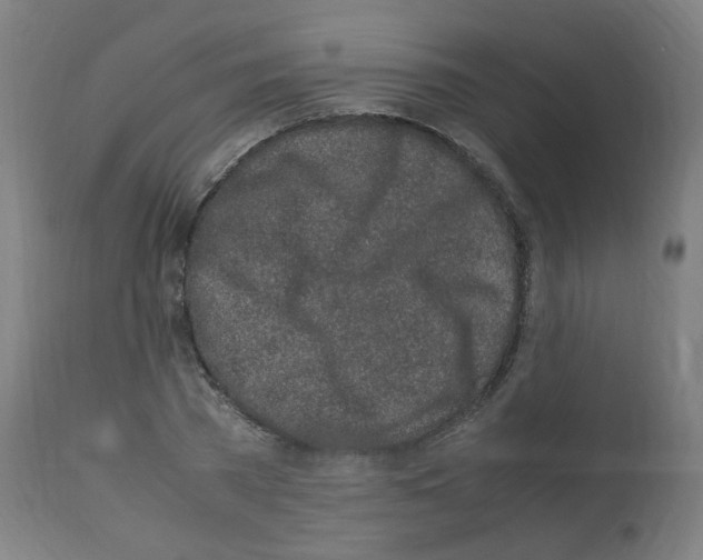 X0000113010785200910081221