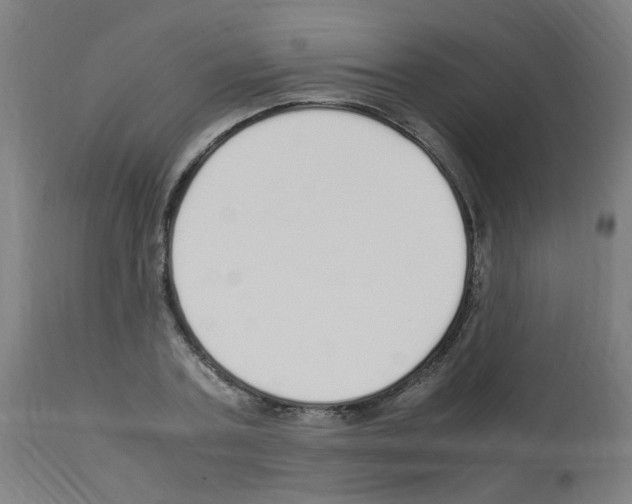 X0000113010787200910081221