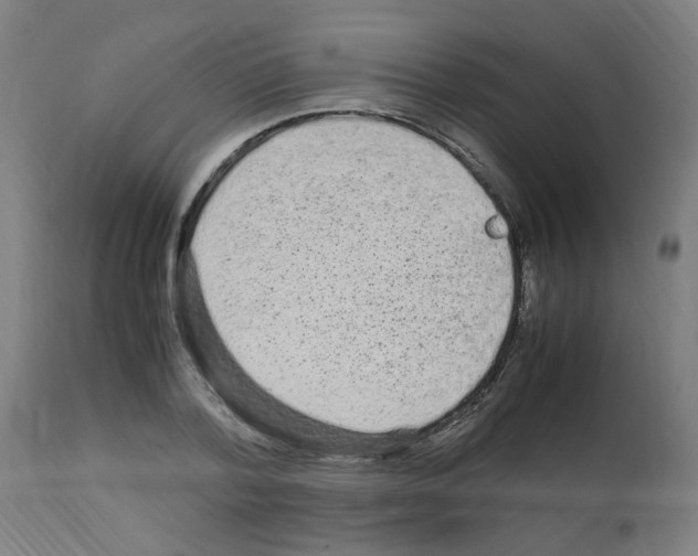 X0000113010788200910081221