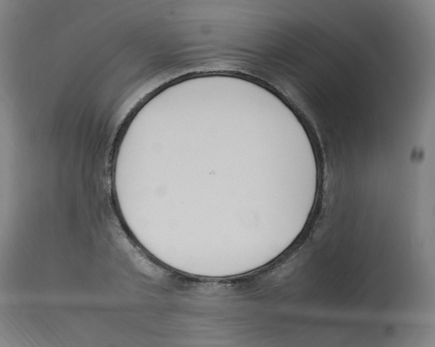 X0000113010789200910081221