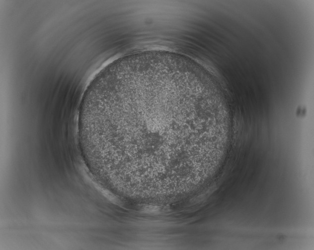 X0000113010790200910081221