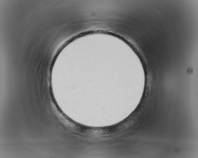 X0000113010791200910081221