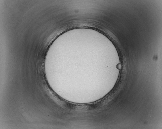 X0000113010793200910081221