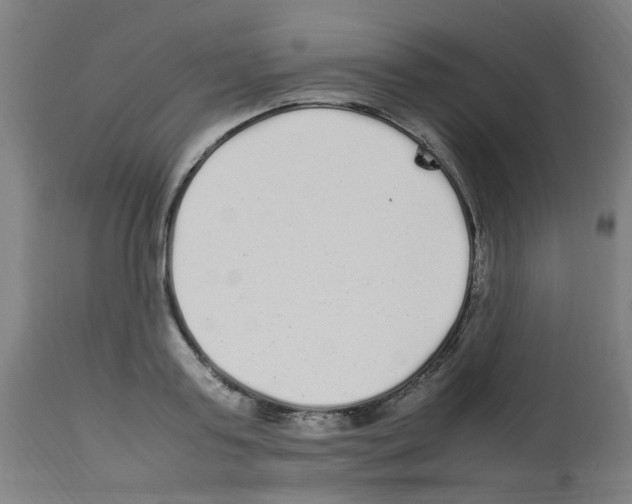 X0000113010795200910081221