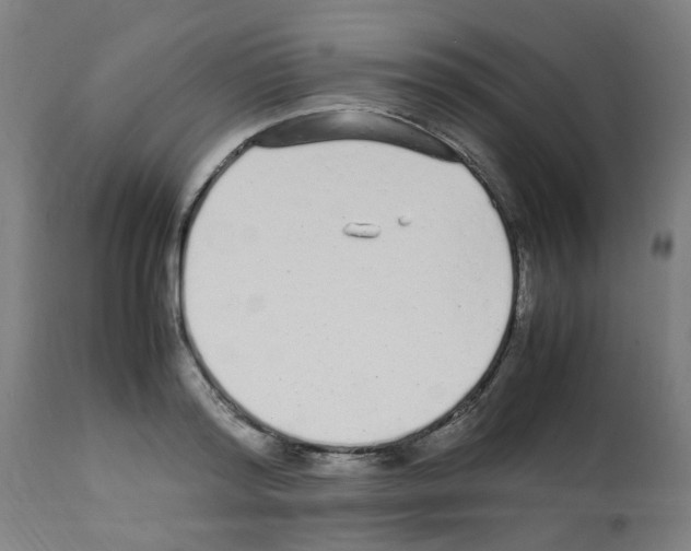 X0000113010796200910081221