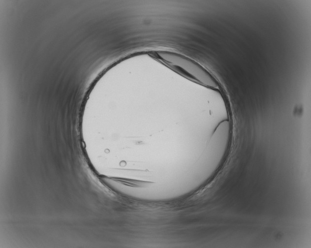 X0000113010797200910081221