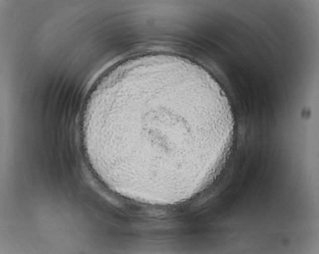X0000113010798200910081221