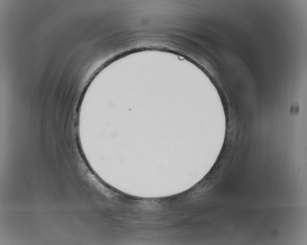 X0000113010799200910081221