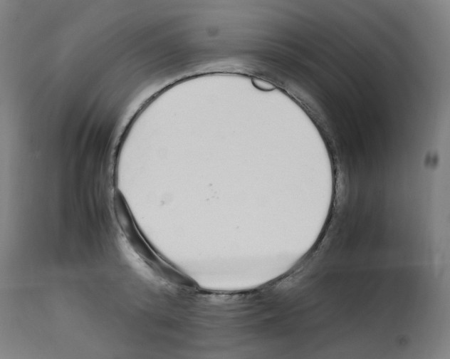 X0000113010800200910081221
