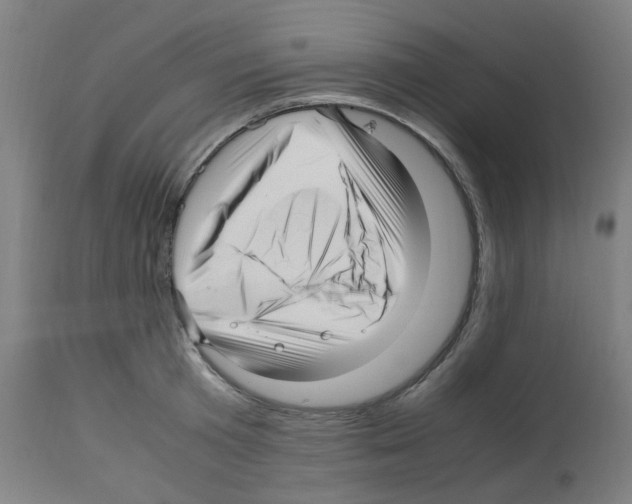 X0000113010801200910081221