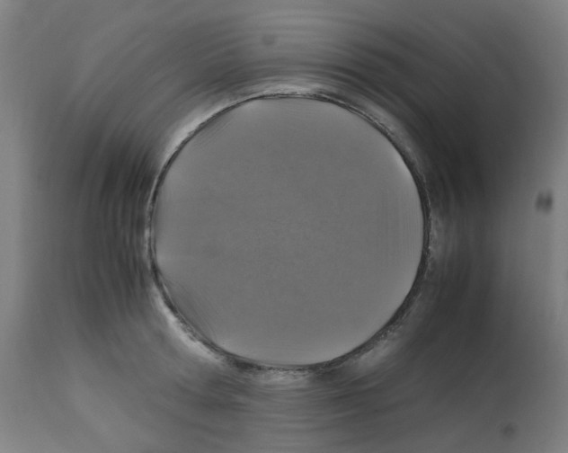 X0000113010802200910081221