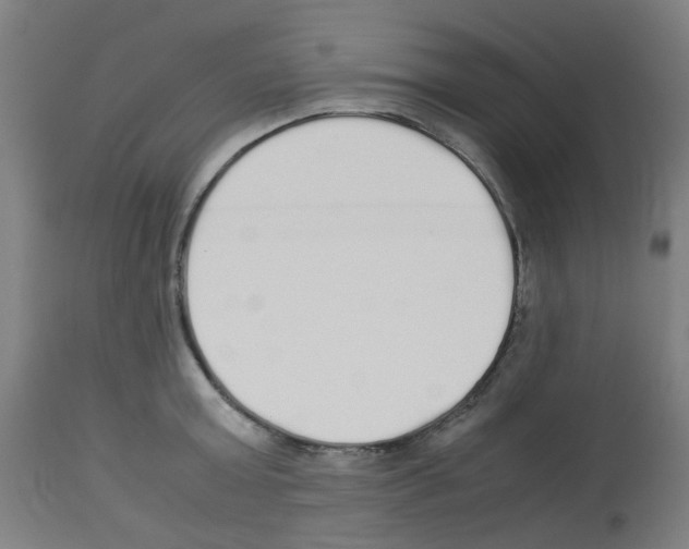 X0000113010803200910081221
