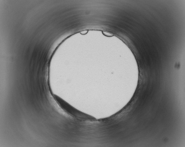 X0000113010804200910081221