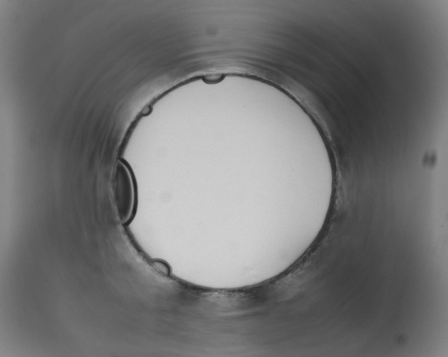 X0000113010805200910081221