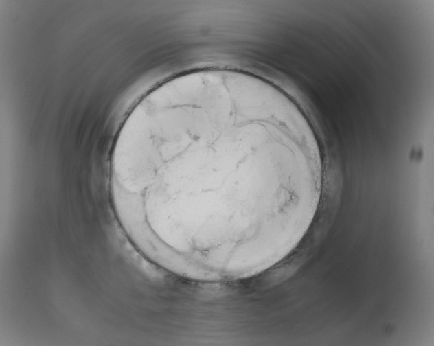 X0000113010807200910081221