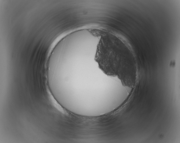 X0000113010808200910081221
