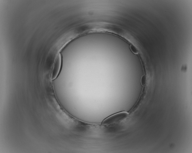 X0000113010809200910081221