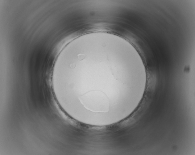X0000113010810200910081221