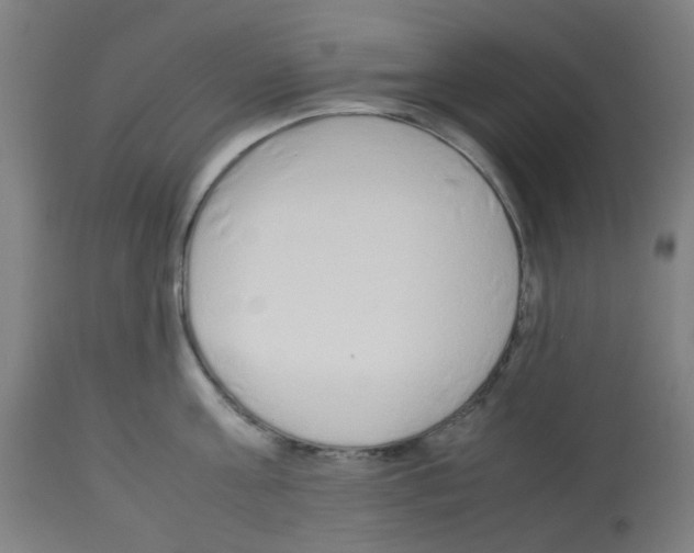 X0000113010811200910081221