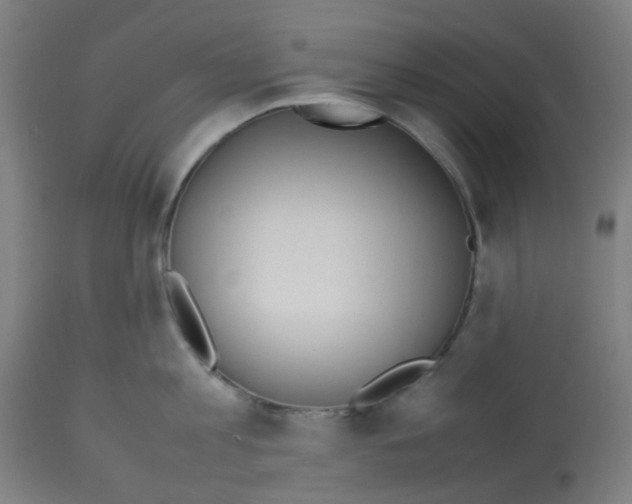 X0000113010813200910081221