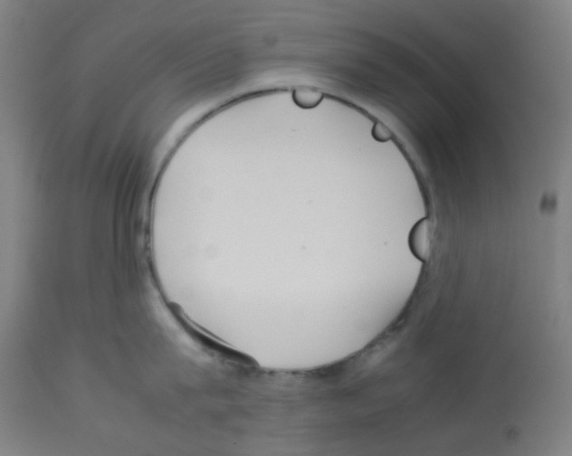 X0000113010815200910081221