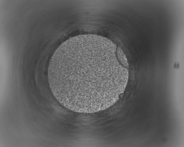 X0000113010817200910081220