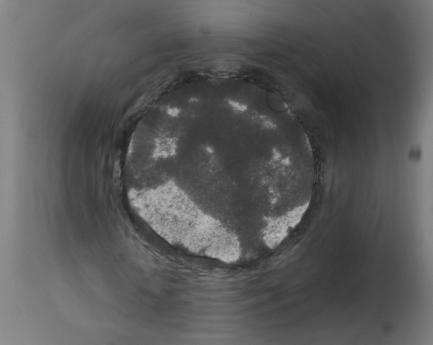 X0000113010818200910081220
