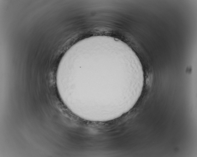 X0000113010819200910081220