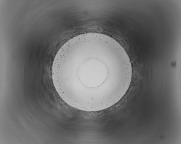 X0000113010820200910081220