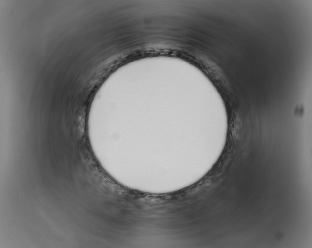 X0000113010821200910081220