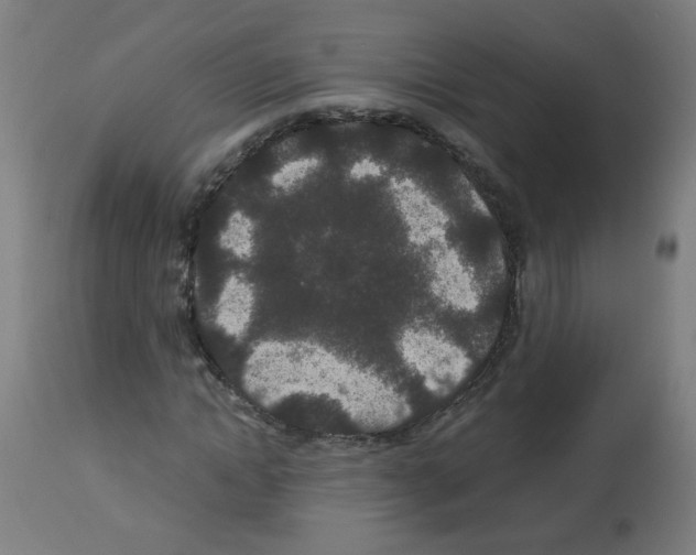 X0000113010822200910081220