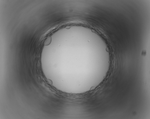 X0000113010824200910081220