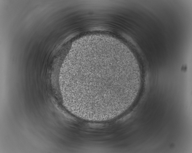 X0000113010825200910081220